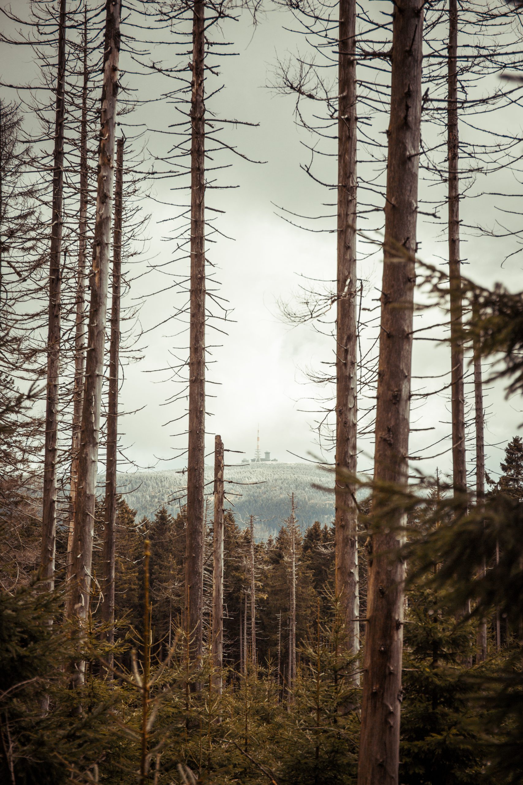 _55A1086