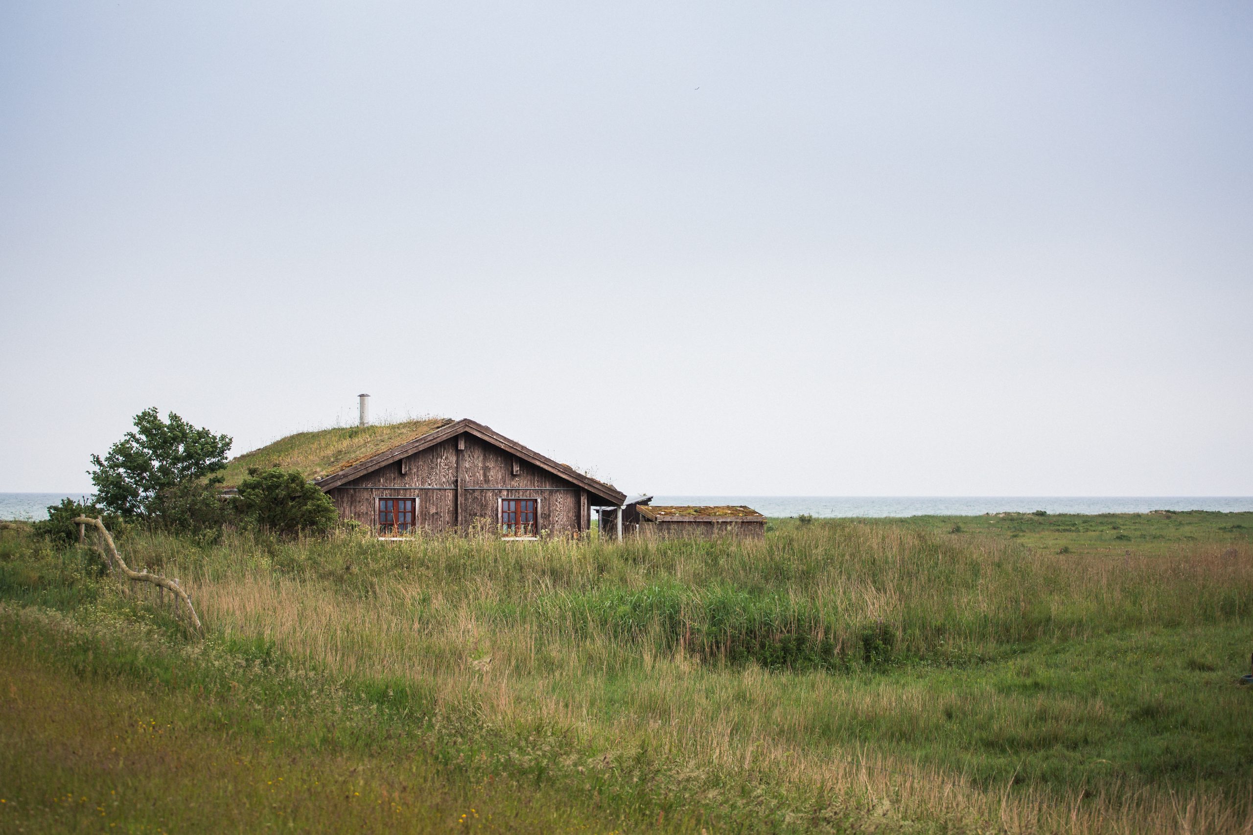 _55A2386