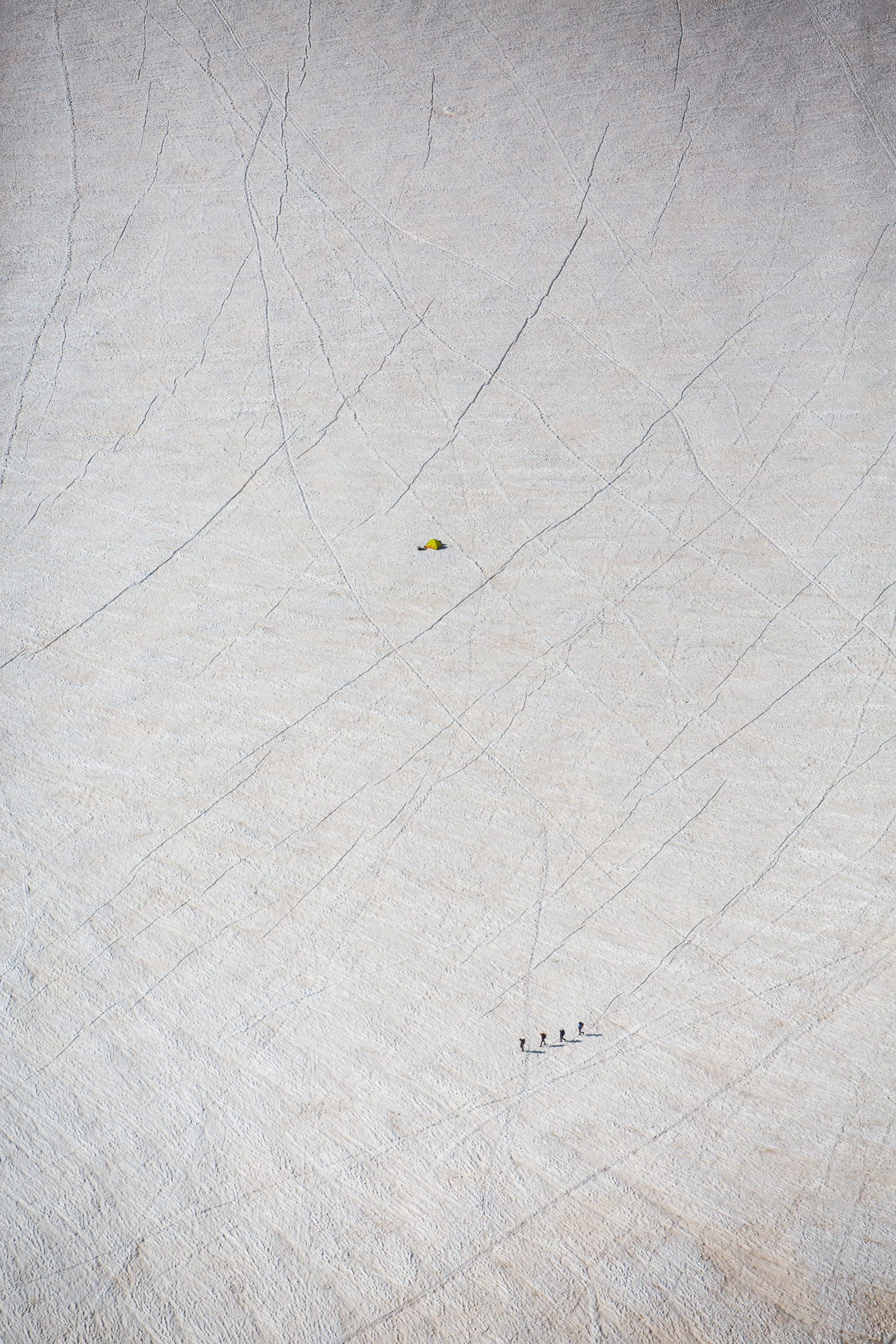 _55A2955