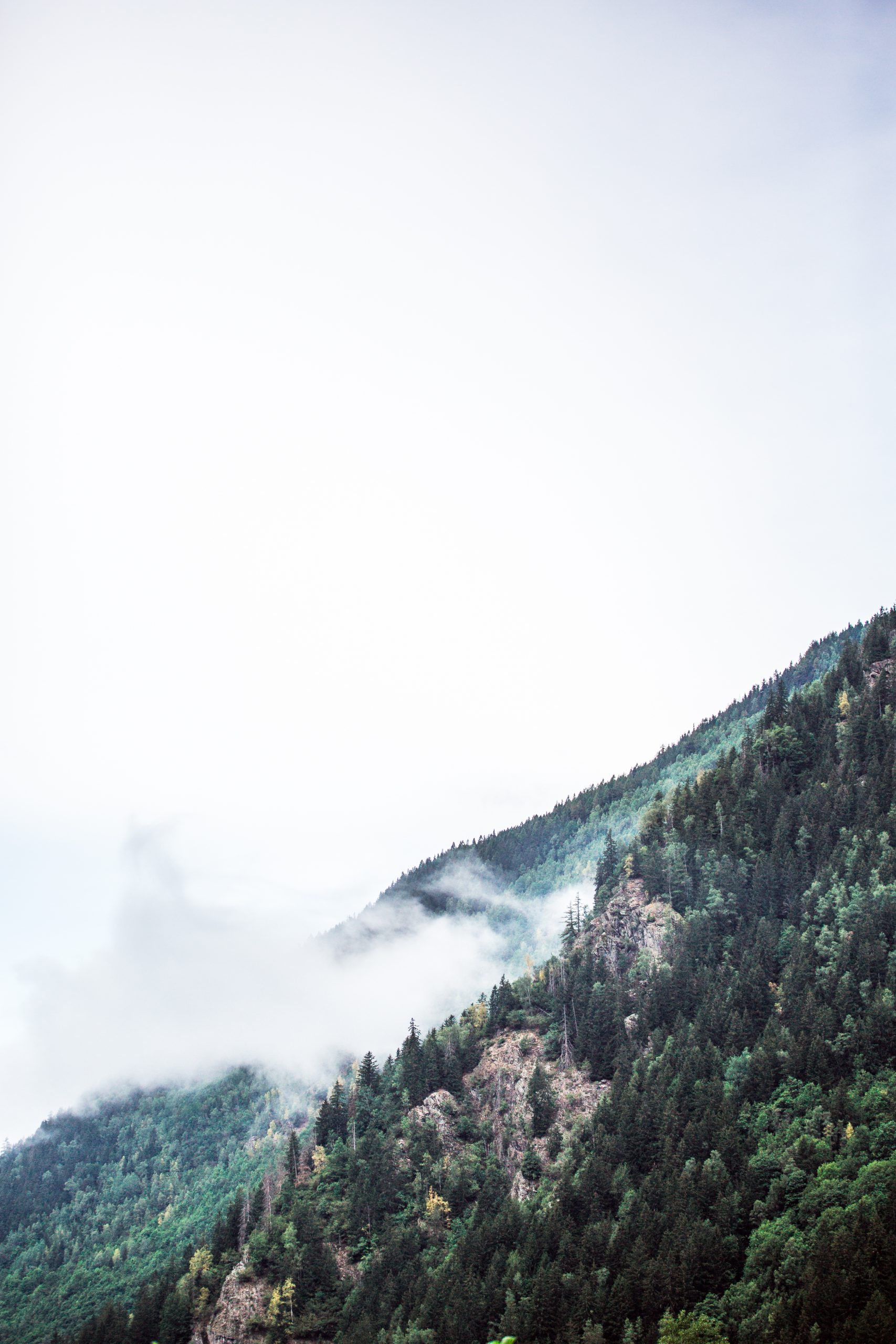_55A3306