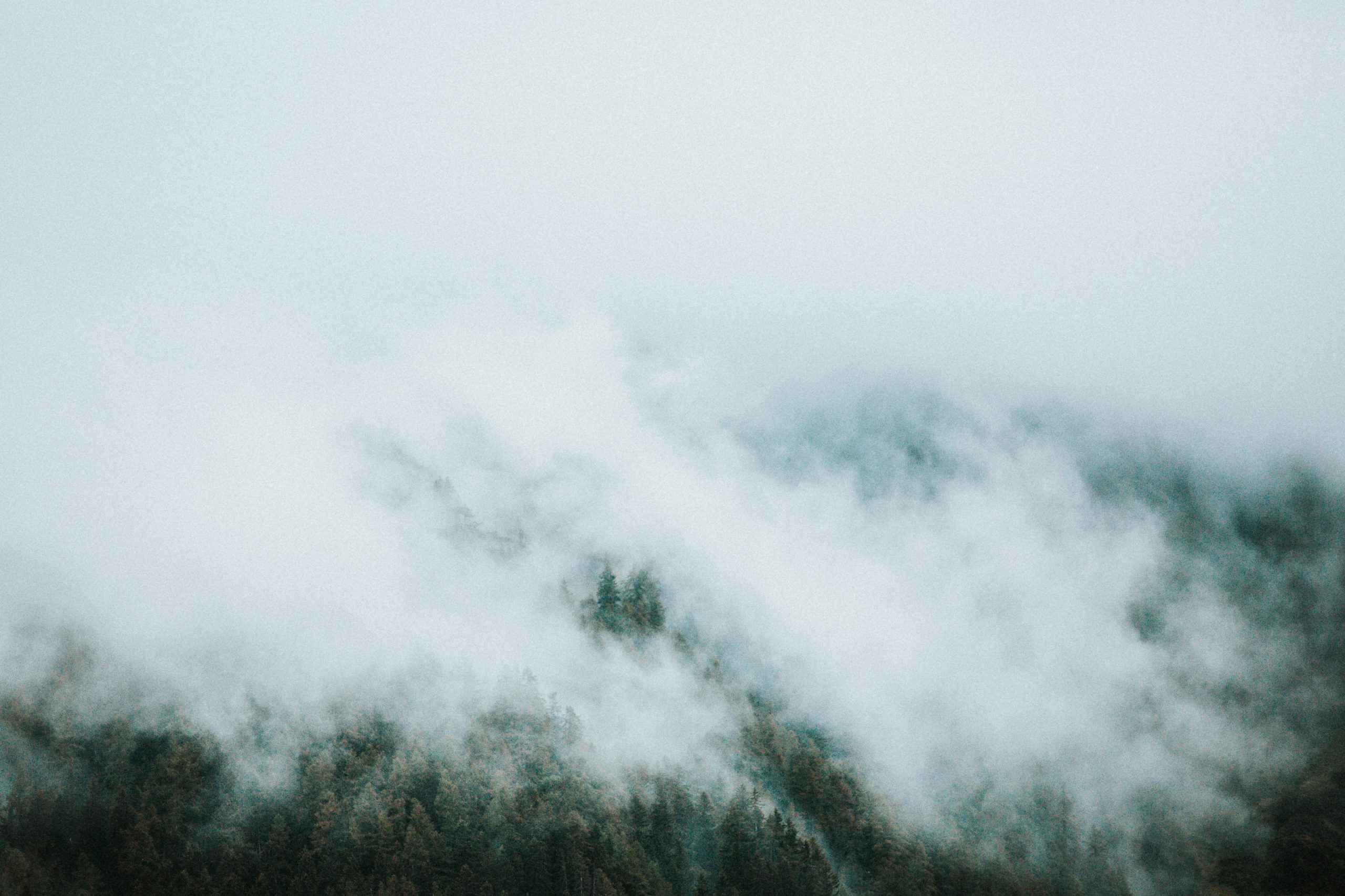 _55A3458