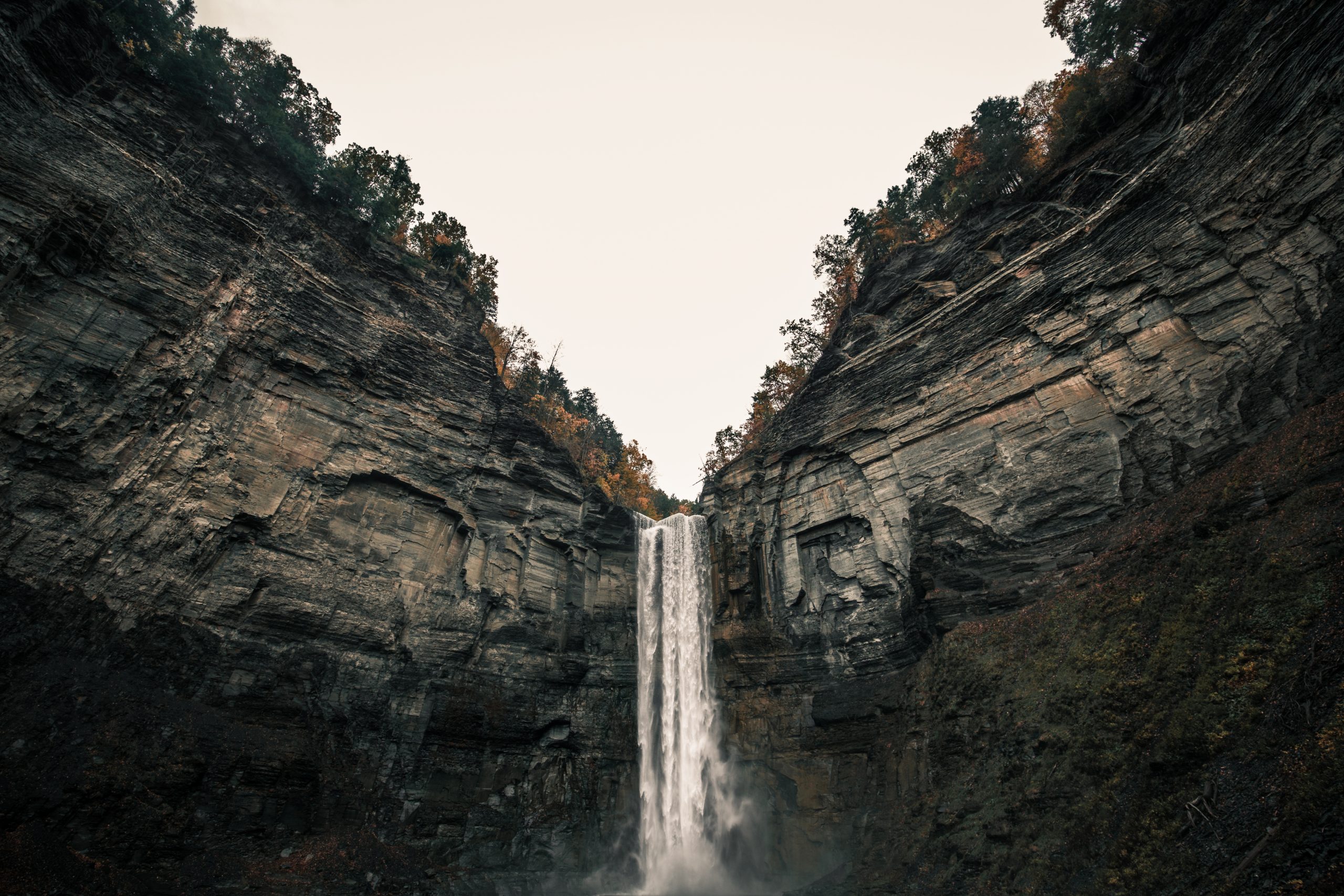 _55A6582