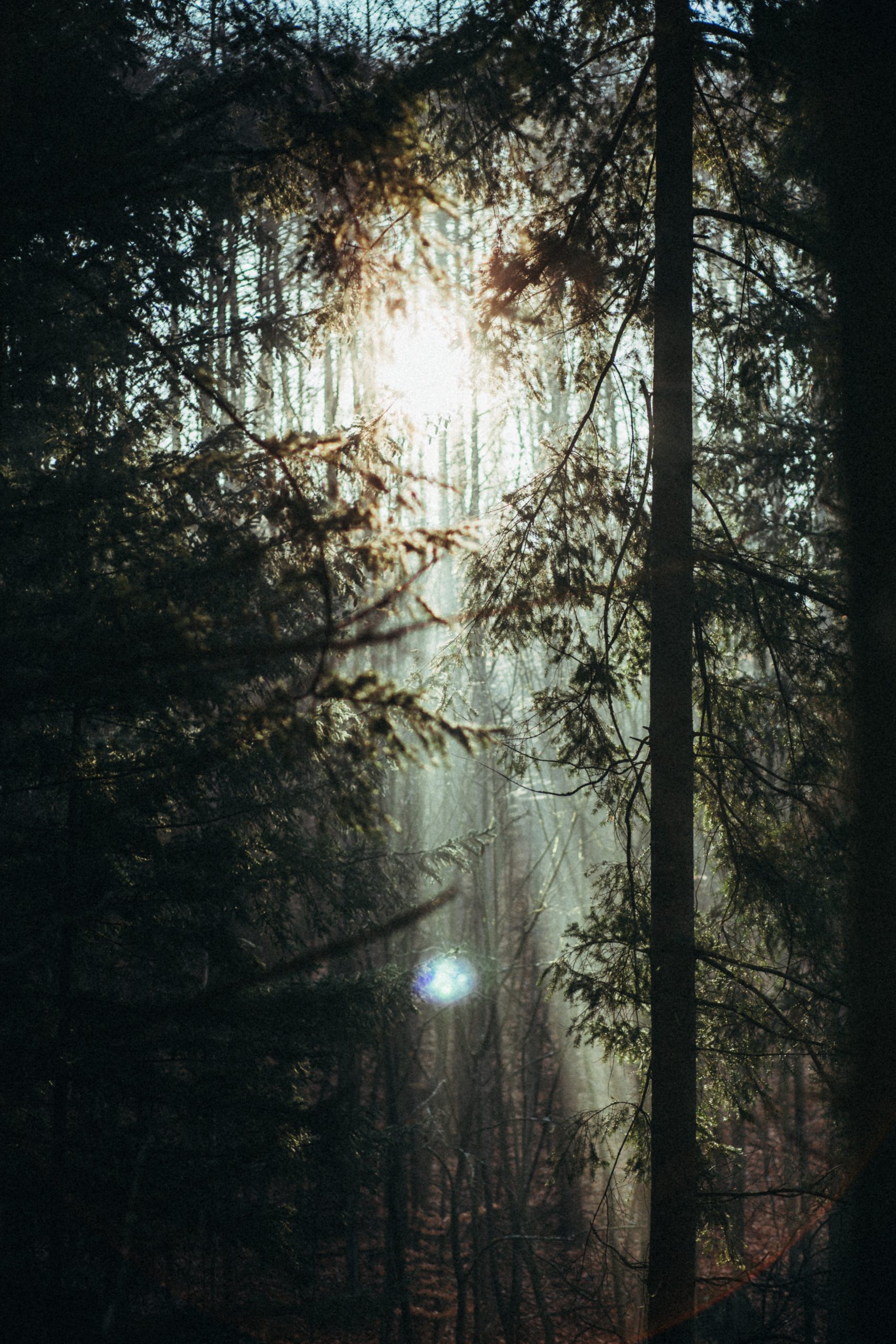 _55A8094