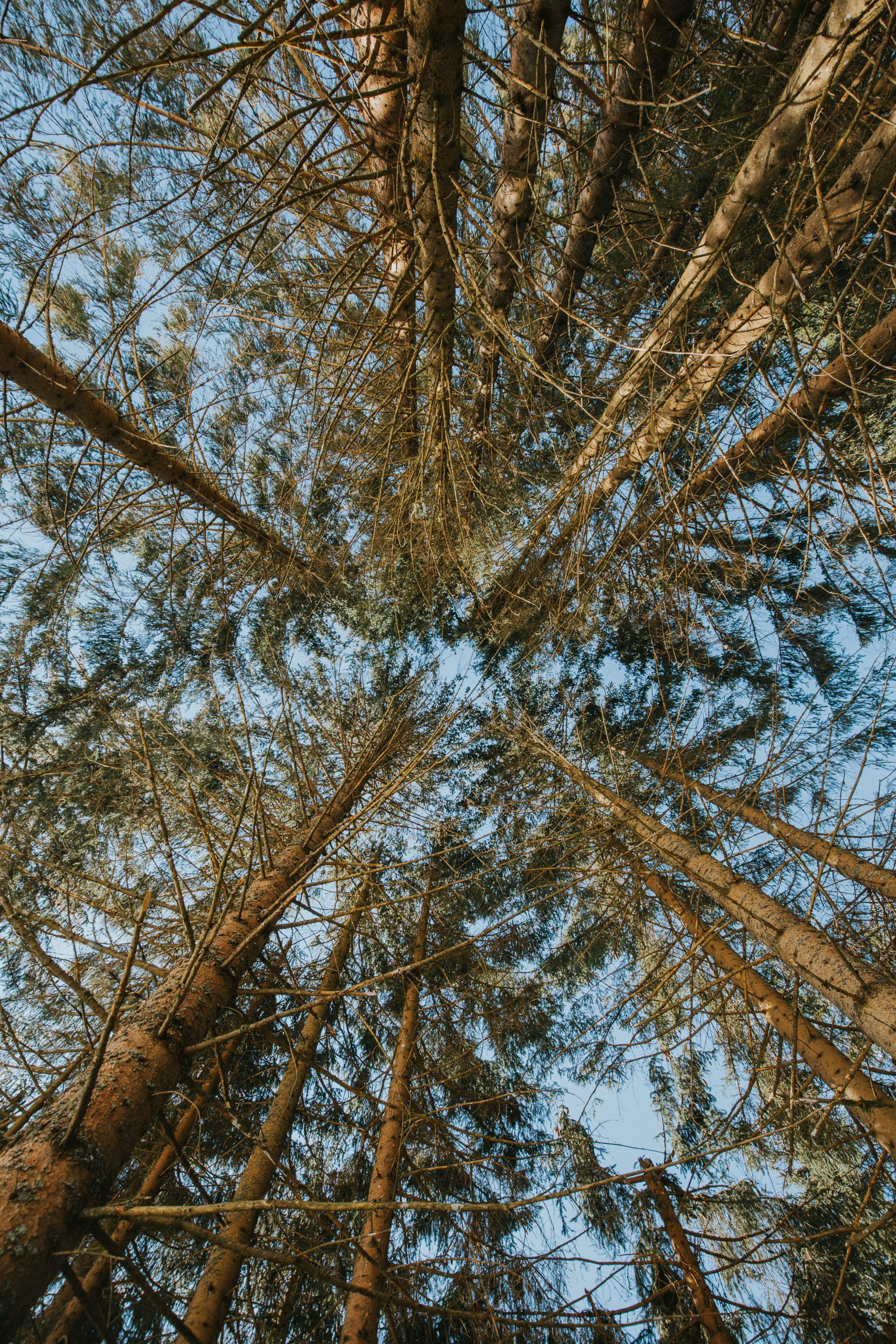 _55A9536
