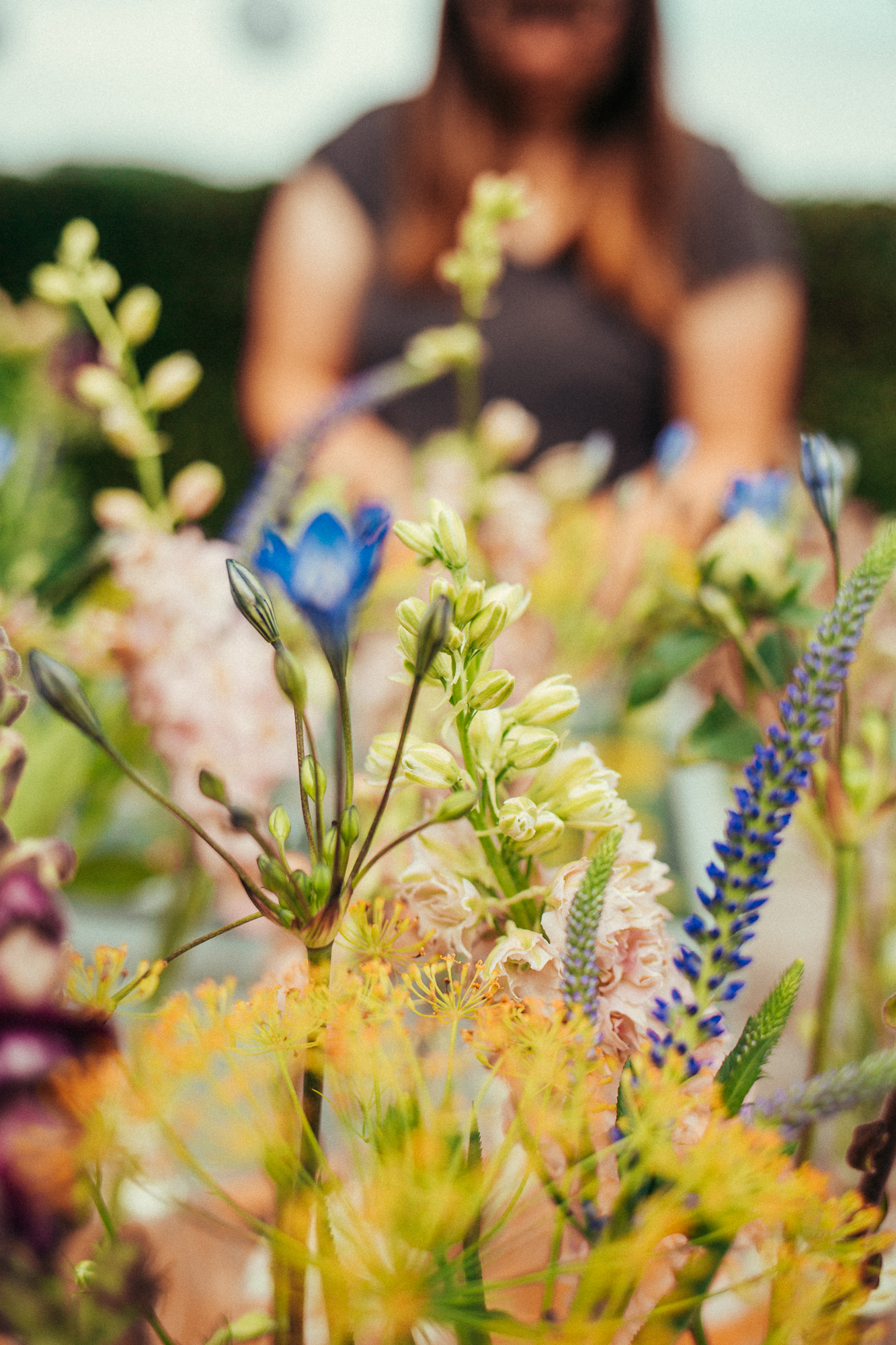 aleunxfranzi (1 von 23)