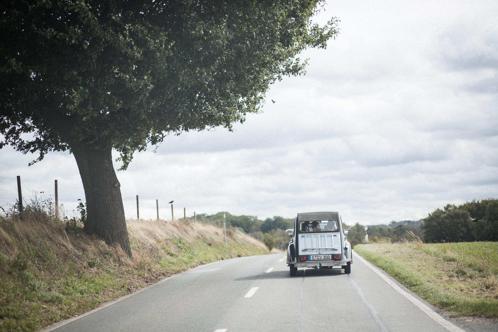 melinaleon (14 von 23)