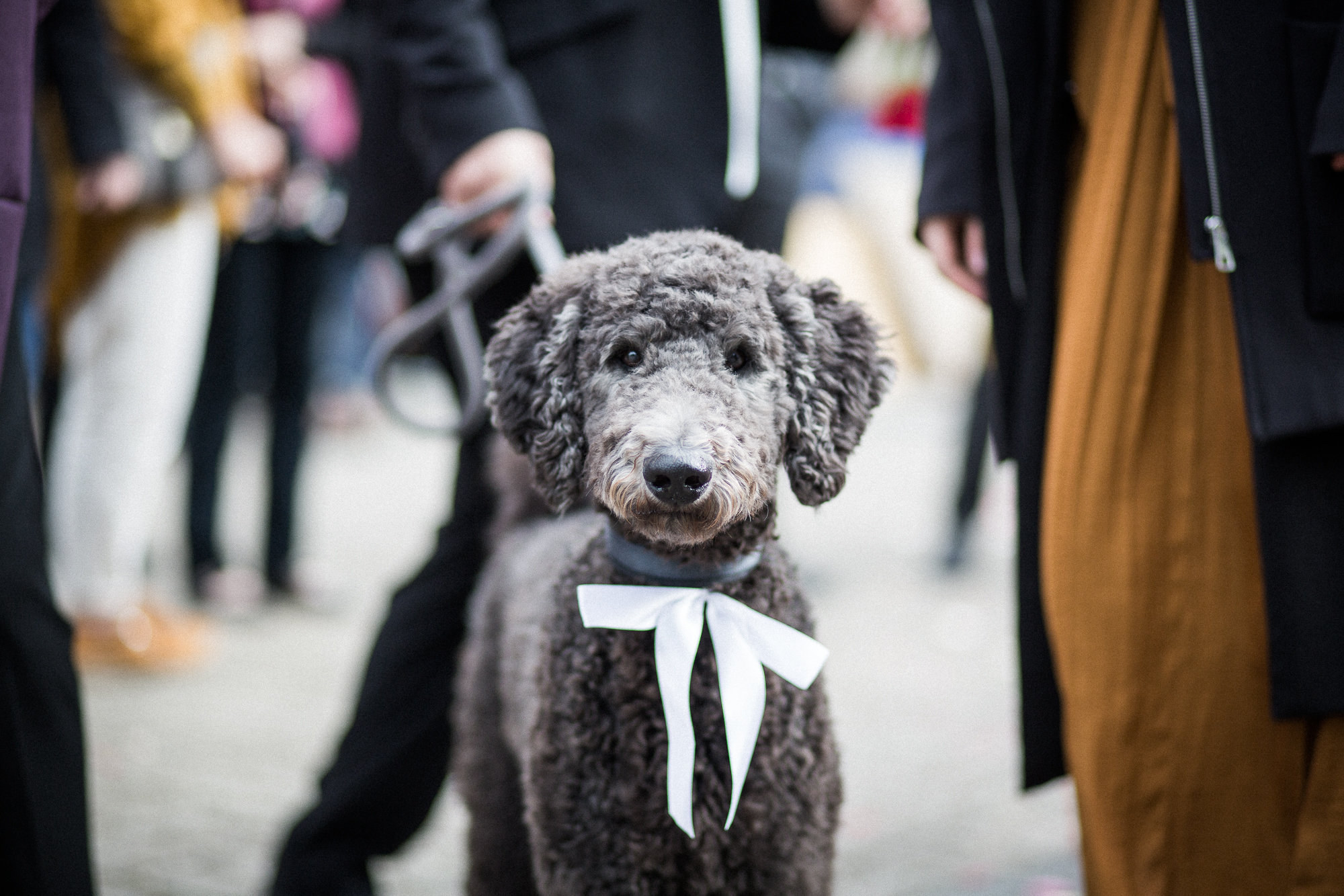 melinaleon (9 von 23)