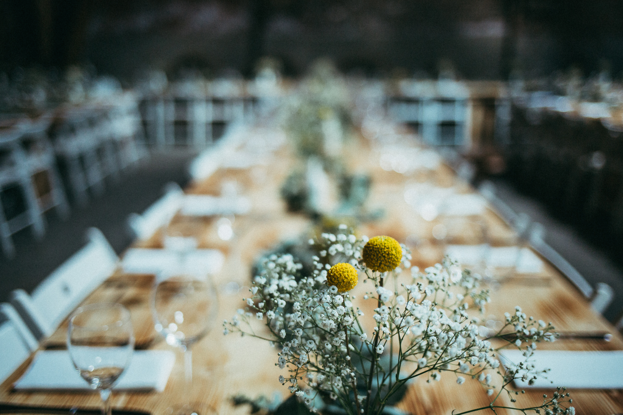 michaelundelo (2 von 24)