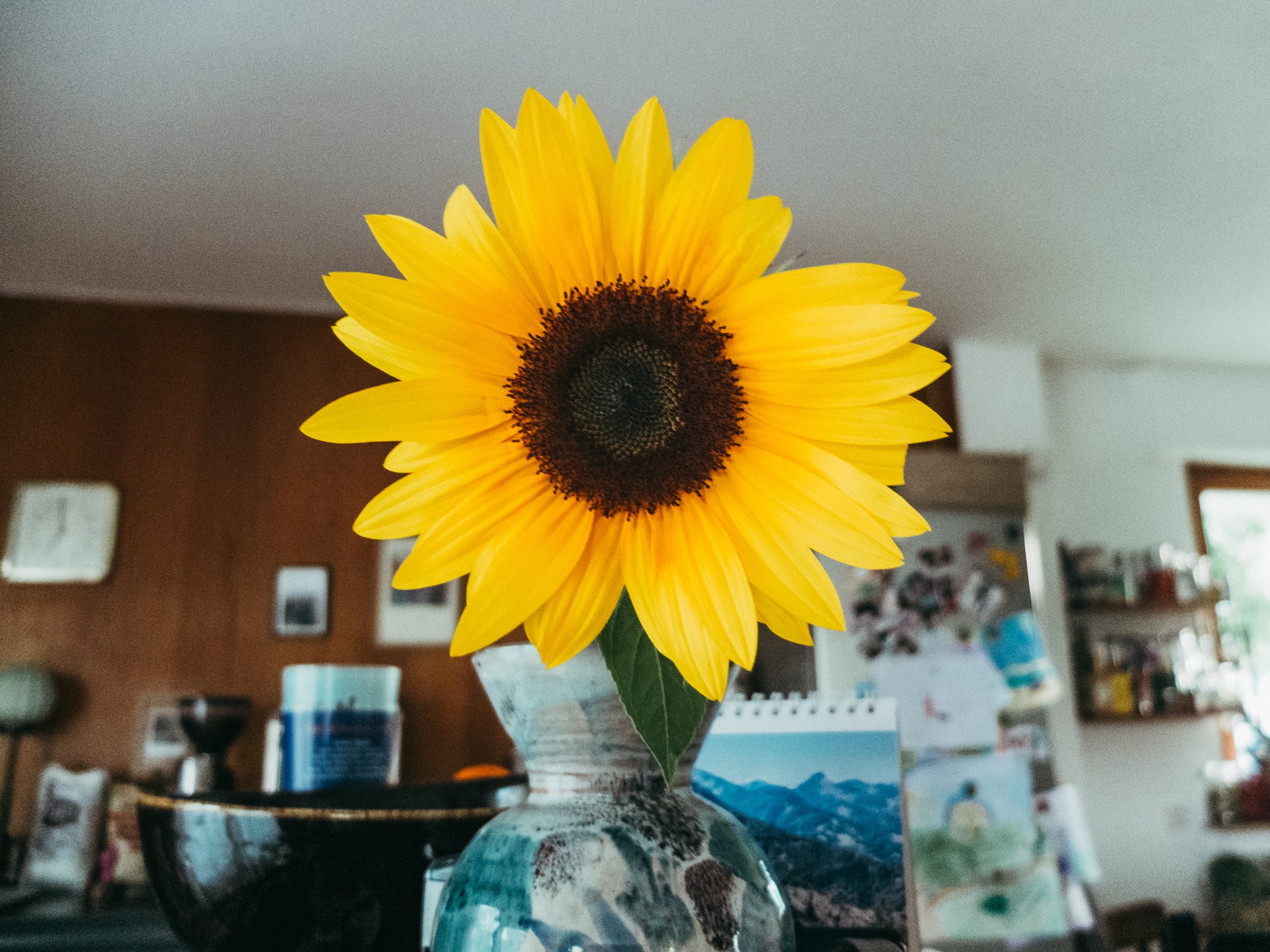 september (4 von 10)