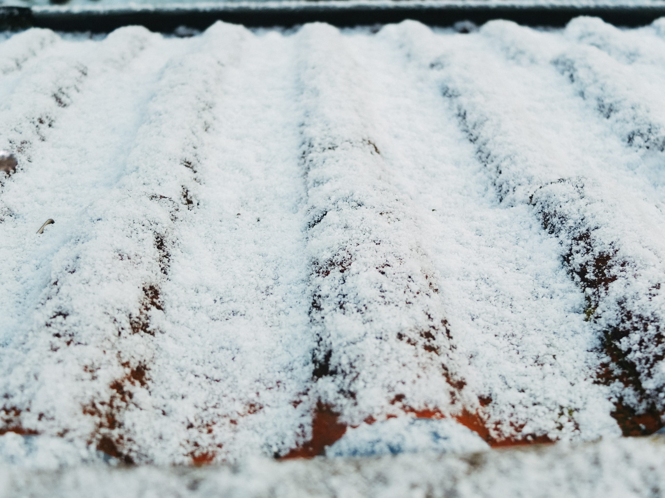 november (10 von 10)